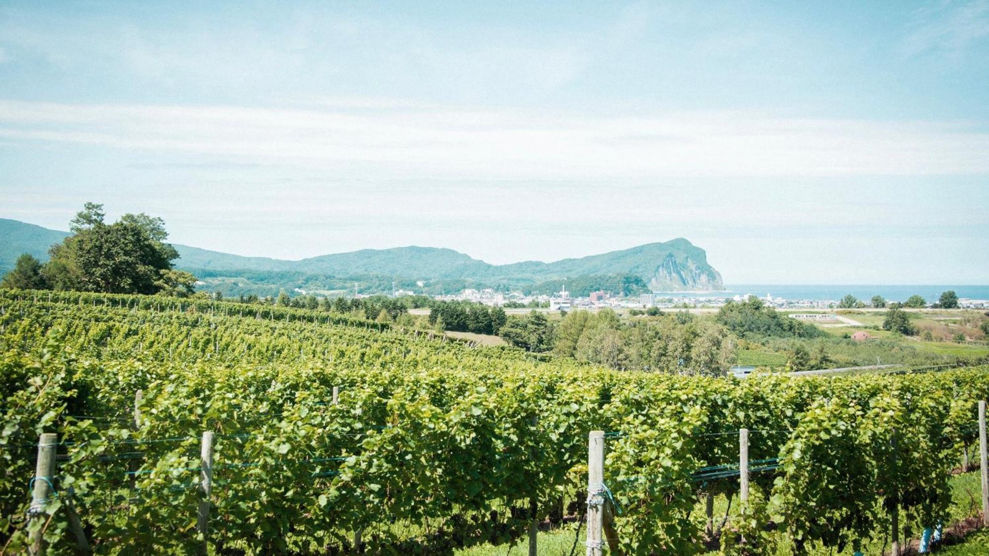 Yoichi Vineyard Glamping Hotel Eksteriør billede